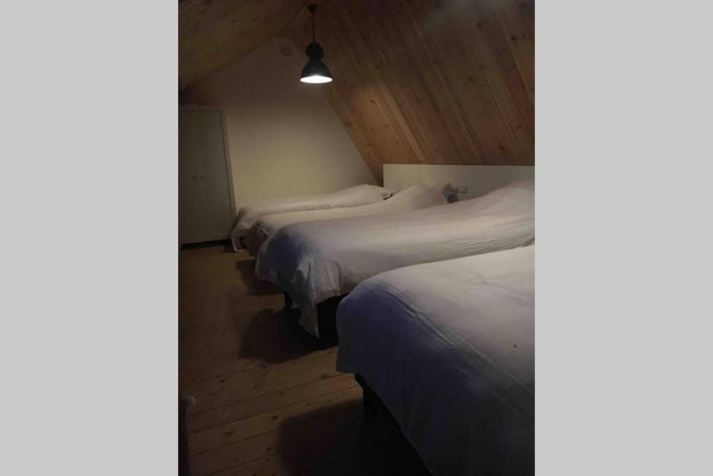 Apartamento Ruim In Prachtige Fiets-wandelomgeving Abcoude