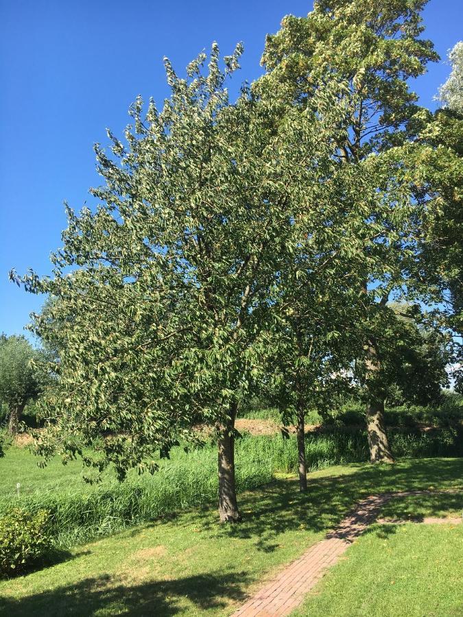 Ruim In Prachtige Fiets-wandelomgeving Apartamento Abcoude